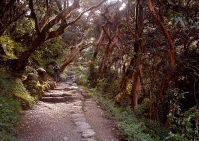inka-trail